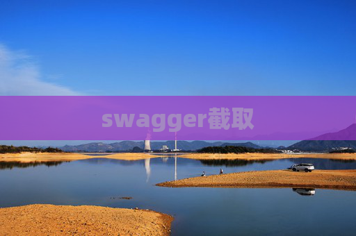 swagger截取